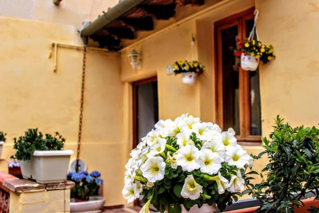 罗西尼亚诺马里蒂莫Panoramic And Beautiful House 4Km From The Sea.别墅 外观 照片